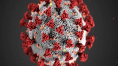 Health News | Virus That Causes COVID-19 Can Find Alternate Route to Infect Cells: Study