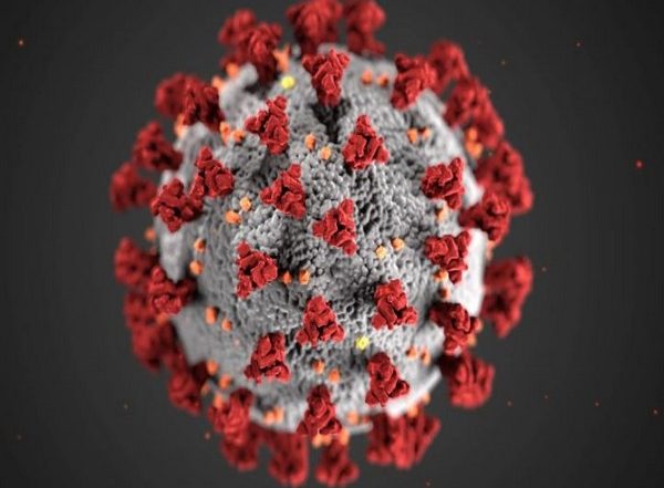 Health News | Virus That Causes COVID-19 Can Find Alternate Route to Infect Cells: Study