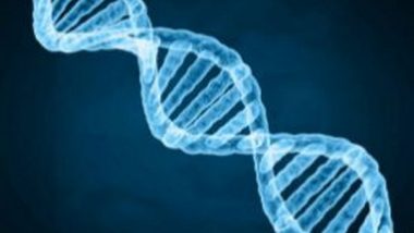 Scientists Need To Rethink Which Genes Linked to Ageing Process: Study