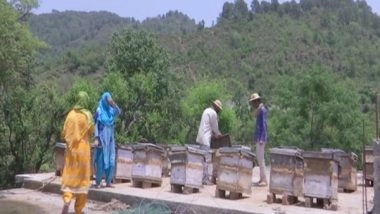 India News | Beekeepers from Remote Villages of J-K's Rajouri Seek Govt Help to Market Honey