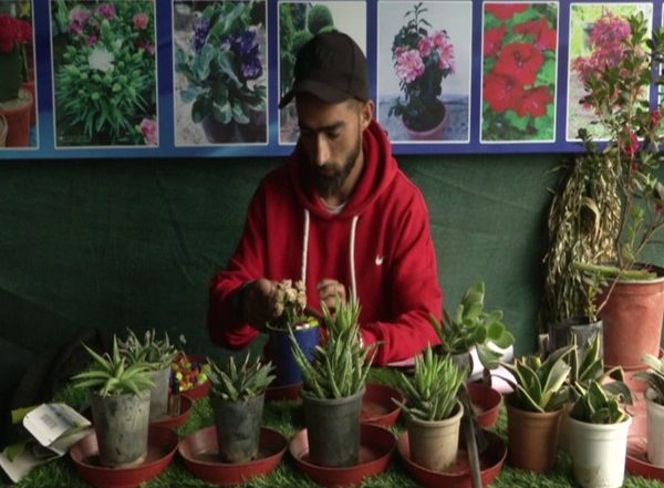 India News | Gardening Emerges as New Hobby Among J-K Youth Amid COVID-19 Lockdown