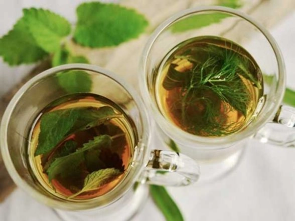 Green Tea May Help Fight COVID-19, Says Study