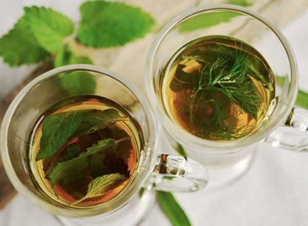 Green Tea May Help Fight COVID-19, Says Study