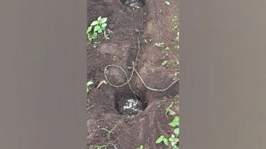 India News | BSF Unearths 2 IEDs in Odisha's Swabhiman Anchal