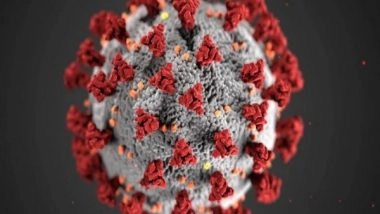 Health News |  Study Finds Mass, Diversity of SARS-CoV-2 Virions Person Carries During Infection