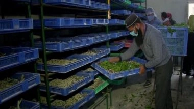 India News | J-K Government Begins Rearing Process of Cocoons to Increase Silk Production
