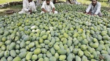 World News | US, China Decline Pakistan's 'Mango Diplomacy', Sends Back Fruit Souvenirs