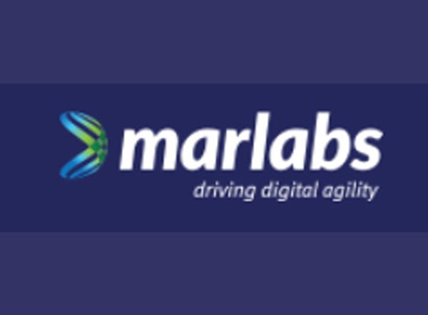 Business News | Vikas Kumar Appointed Chief Commercial Officer at Marlabs