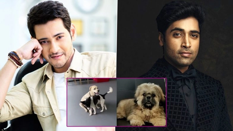 Mahesh Babu, Adivi Sesh Share the Glimpse of Their Cute Pet Dogs to Fans