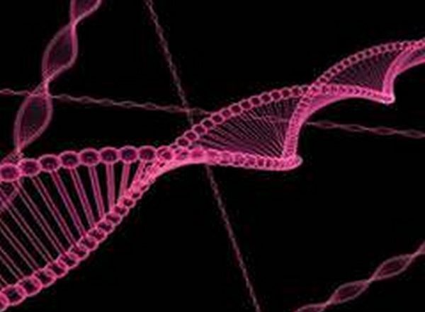 New Technique Allows for Identification of Potential Drugs To Fight Resistant Bacteria