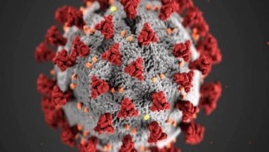 Science News | Researchers Reveal Global 'hot Spots' Where New Coronaviruses May Emerge