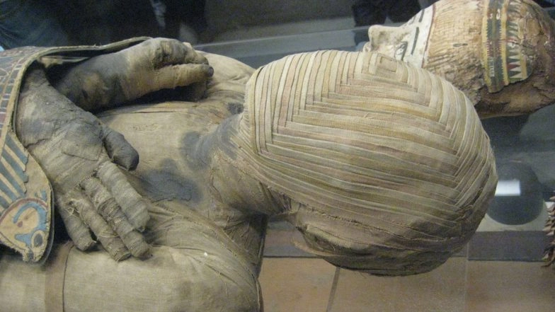 Who were Homo? A New Mystery Human Species Discovered in Israel