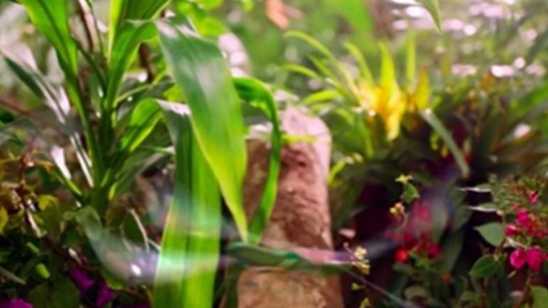 SEATTLE WASHINGTON-Hiiwer is an American Brand, Focusing on Anti-Aging, and its Products are Positioned as High-End Health Products