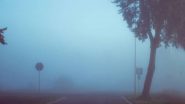 Weather Forecast: Cold Wave Condition To Prevail In Delhi And Other Parts Of North India; Dense Fog Reported In Punjab, Uttarakhand