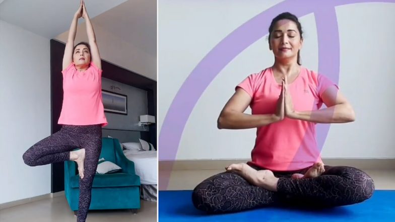 International Yoga Day 2021: Madhuri Dixit Aces the Vriksh Asana As She Begins Her Day on a Healthy Note (Watch Video)