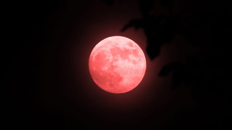 Strawberry Moon 2021: Netizens Share Majestic Photos of Year's Last Supermoon on Twitter (View Pics)