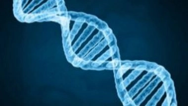 Science News | Gene Responsible for Increased Risk of Infantile Fragility Found