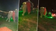 Elephant, Part of Wedding Procession, Goes on Rampage in Prayagraj, Groom and Baraatis Run for Cover