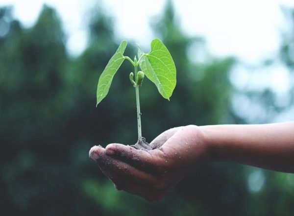 World Environment Day 2021: Action and Awareness, Two Important Steps Towards Sustainability