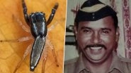 New Jumping Spider Species From Maharashtra: Name &lsquo;Icius Tukarami&rsquo; Dedicated to ASI Tukaram Omble, &lsquo;Phintella Cholkei&rsquo; to Kamlesh Cholke