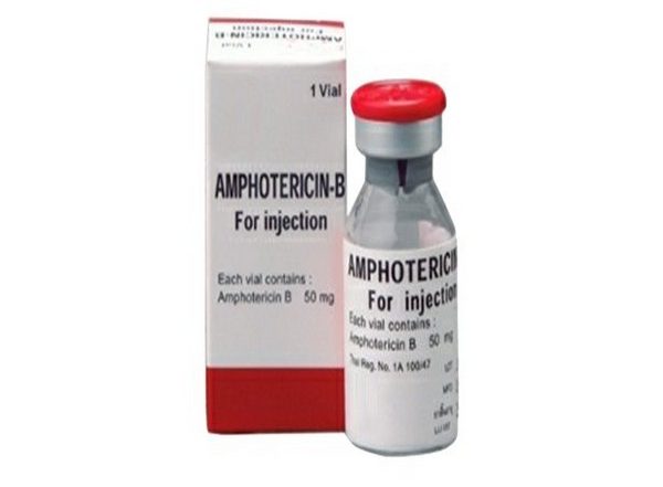 India News | Black Fungus: Centre Allocates 3,21,100 Vials of Liposomal Amphotericin-B to States from June 1