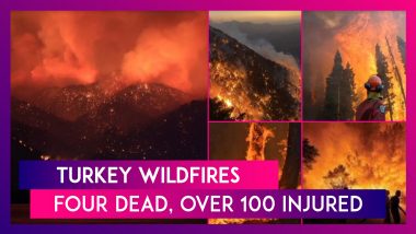 Turkey Wildfires: Four Dead, Over 100 Injured As The Country Battles Raging Fires Forcing Residents To Flee