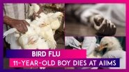 Bird Flu: 11-Year-Old Boy Dies At AIIMS, First Recorded Casualty In India This Year