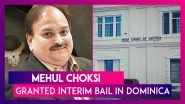 Mehul Choksi Granted Interim Bail In Dominica, Can Travel To Antigua For Treatment