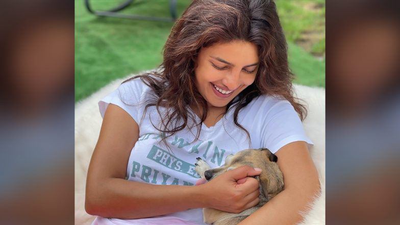 Priyanka Chopra Is Happy to Reunite With Her Furry Friends Diana, Panda and Gino (See Pics)