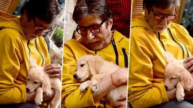 Amitabh Bachchan Wants To Take His Paw-Dorable Co-Star Home, Shares Cute Pictures With the Little One (View Pics)