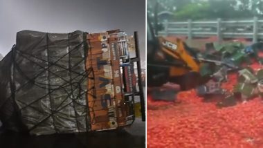 Thane: Around 20 Tonnes of Tomatoes Scatter on Eastern Express Highway After Tomato-Laden Truck Overturned (Watch Video)