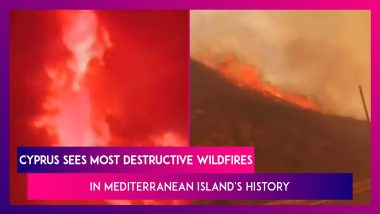 Cyprus Sees Most Destructive Wildfires In Mediterranean Island's History