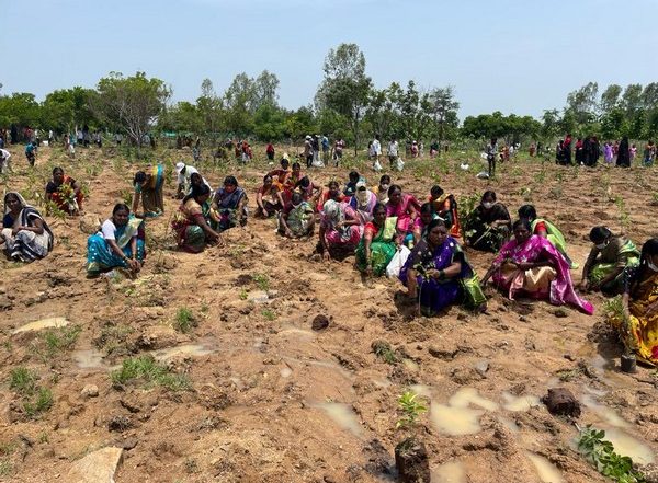 India News | Green India Challenge Sets World Record, Plants 1 Million Saplings in an Hour in Telangana