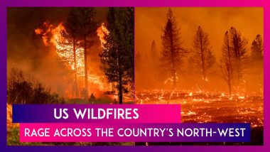 US Wildfires Rage Across The Country's North-West: 13 States, 1 Million Hectares Impacted