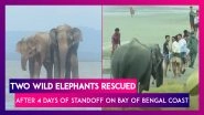 Bangladesh: Two Wild Elephants Rescued After Four Days Of Standoff On Bay Of Bengal Coast
