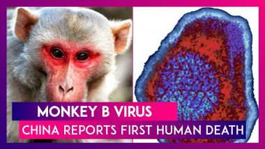 Monkey B Virus: China Reports First Human Death; All You Need To Know
