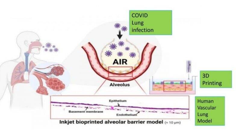Anti-Diabetic Drug Can Be Re-Purposed As COVID-19 Treatment, Says Study
