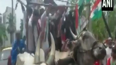 India News | Bullock Cart Collapses During Congress Protest Against Fuel Price Hike in Mumbai