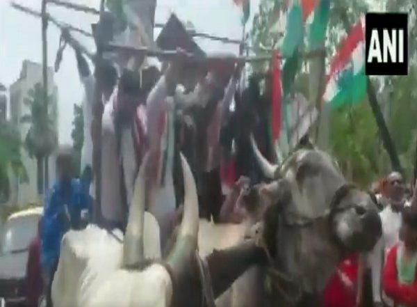 India News | Bullock Cart Collapses During Congress Protest Against Fuel Price Hike in Mumbai