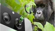Business News | Corning Expands Corning&reg; Gorilla&reg; Glass Composite Products to Optimize Performance of Mobile Device Cameras