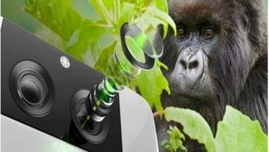 Business News | Corning Expands Corning® Gorilla® Glass Composite Products to Optimize Performance of Mobile Device Cameras
