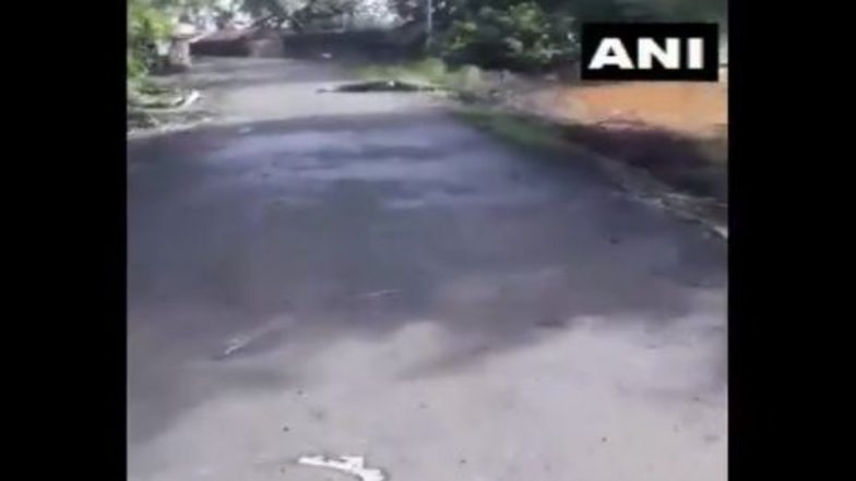 Crocodile Seen on Roads of Sangli District in Maharashtra After Water Level of Krishna River Rises Due to Heavy Rainfall (Watch Video)