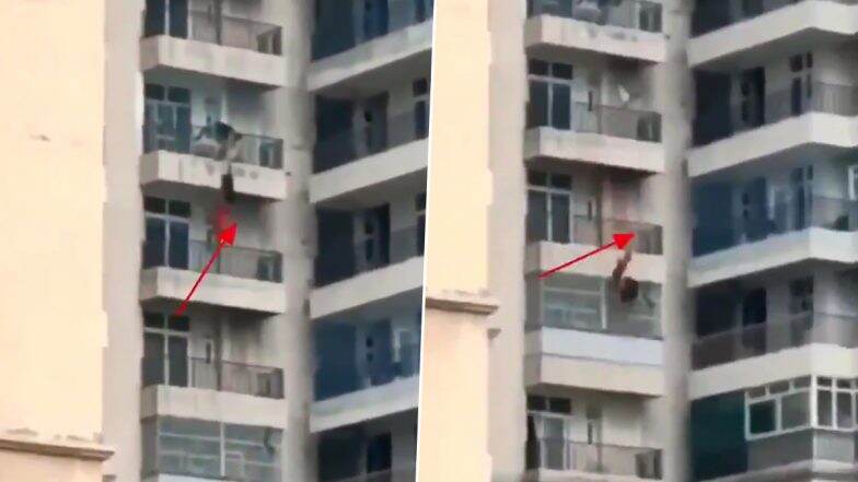 Ghaziabad: Woman Falls Off 9th-Floor Balcony After Argument With Husband, Chilling Video Surfaces