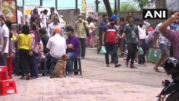 India News | Tourists Throng Kasauli Despite Third COVID Wave Warnings