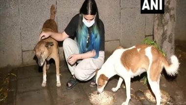 India News | It is an Achievement for Animal Lovers, Says Veterinary Student on Delhi HCs Order of Right to Food for Dogs