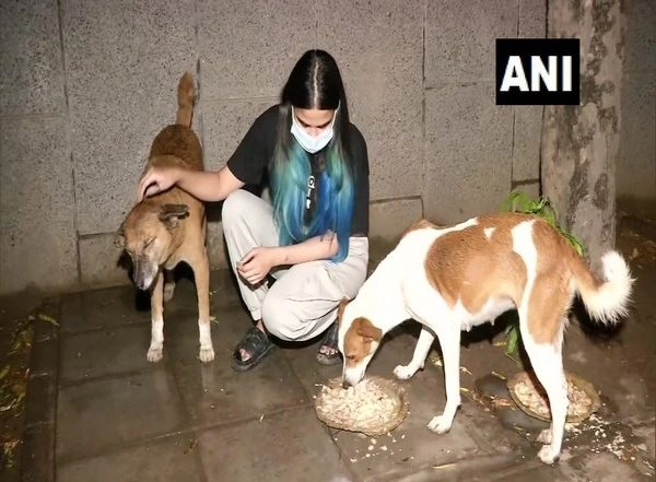 India News | It is an Achievement for Animal Lovers, Says Veterinary Student on Delhi HCs Order of Right to Food for Dogs