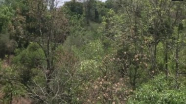 India News | Entrepreneur Buys 21-acre Barren Land, Converts It into Forest in Karnataka