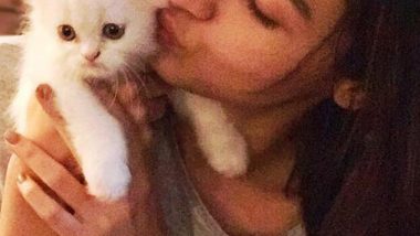 From Alia Bhatt to Richa Chadha, Meet These 6 Bollywood Celebrity Cat Lovers