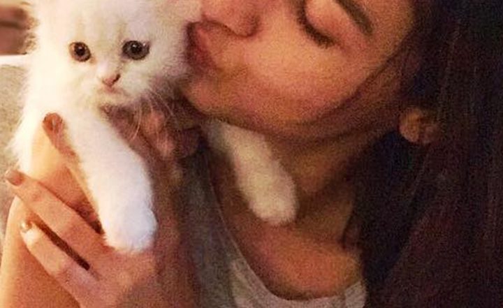 From Alia Bhatt to Richa Chadha, Meet These 6 Bollywood Celebrity Cat Lovers
