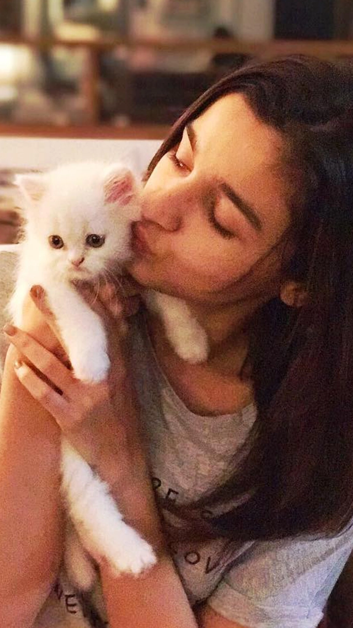 From Alia Bhatt to Richa Chadha, Meet These 6 Bollywood Celebrity Cat Lovers